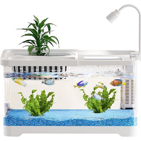 Small Aquarium, Built-in Filter, Clear PP Material, For Betta, Guppies, Shrimp, Office, Apartment