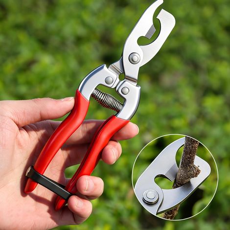 Sécateur à double tête multifonctionnel, sécateur manuel, outils de jardinage (1/5)