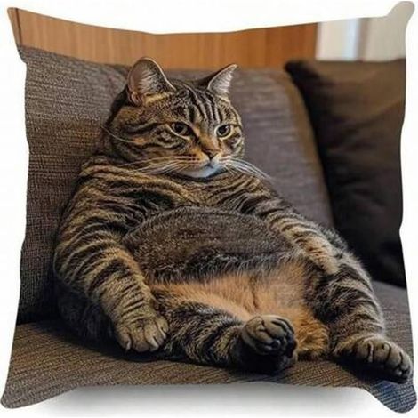Taie D Oreiller - Chat Jouant Avec Telephone - Decoration Chambre Canape - Lot De 4 (1/4)