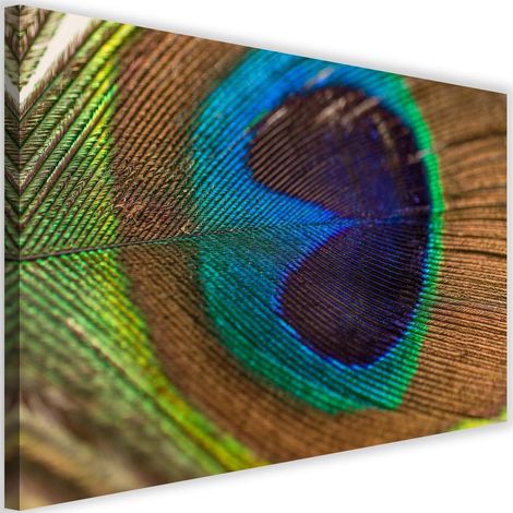 Tableau sur toile paon oiseau plume 60x40 (1/5)