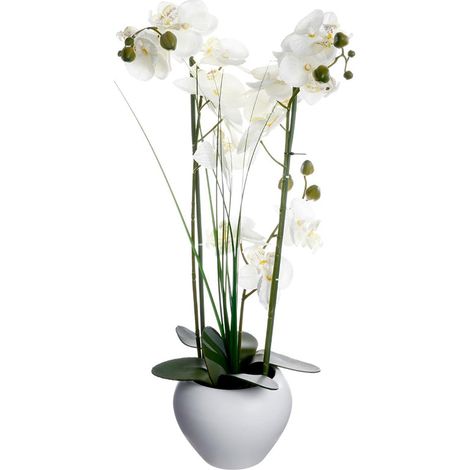 Orchidée Artificielle avec Vase en Céramique H53cm - Noir - SILUMEN (1/5)