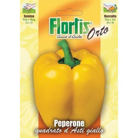 PEPERONE QUADRATO GIALLO