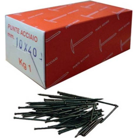 10 x SC CHIODI TESTA GRUPPINO ACCIAIO 8X30  80 G