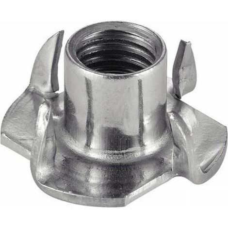 50 Ecrous à Griffes M6 mm - Inox A2 - D-Work