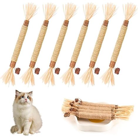Bâtonnets Herbe à Chat,Bâtonnets à Mâcher pour Grincer des Dents Bâtonnets d'herbe à Chat Naturel Bâtonnets à Mâcher Soins Dentaires éLiminer Le Tartre Et Rafraîchir L'haleine (1/3)