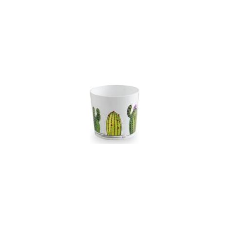 6 x CACHEPOT MAYA 11,5CM  CACTUS
