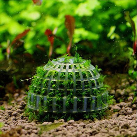 2 PC Boules de mousse déco pour aquarium avec plantes vivantes, filtre naturel pour poissons en bonne santé et plantes aquatiques (1/5)