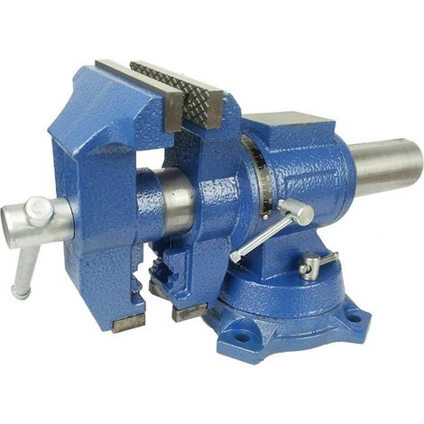 Étau parallèle professionnel multifonction pour établi - Deux axes - Rotation à 360 ° - Étau parallèle avec enclume - Envergure : 125 mm (1/5)