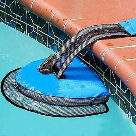 Rampe d'Évacuation pour Piscine, Flottante, Protection pour Animaux, Sauvetage Grenouille (1/5)