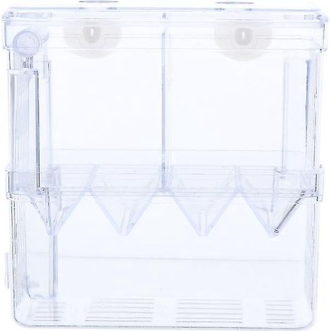 1 aquarium d'élevage (1/3)