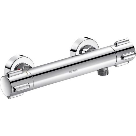 Delabie Brause-Thermostatarmatur SECURITHERM, Standard S-Anschlüsse