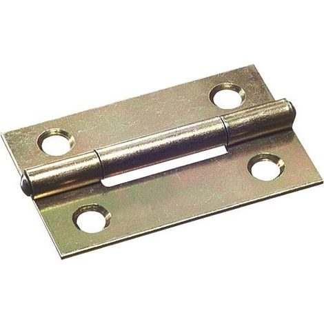 Charniere fine avec vis zingue L : 50mm Emballage 2 pieces