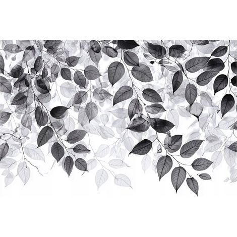 Papier peint mural feuilles noir blanc suspendues intissé grand format design intérieur salon chambre pas cher 150x105 cm (1/5)