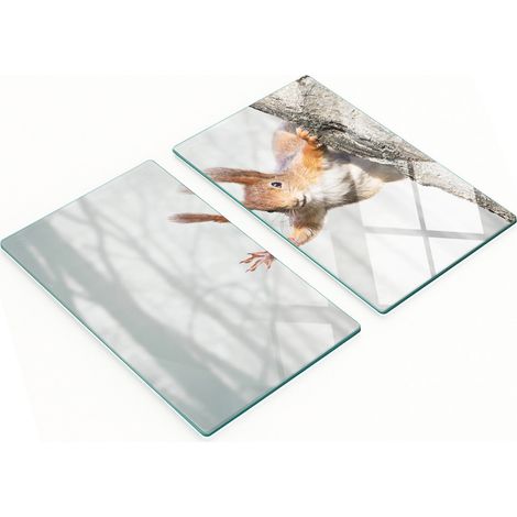 Juego de dos tablas de cocina decorativas de cristal con forma de ardilla, 2 x 30 x 52 cm.