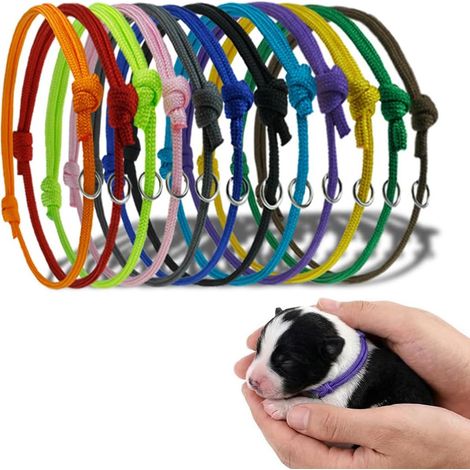 Colliers classiques pour chiens,Lot de 12 colliers pour chiots, colliers de mise bas pour petits chiens/chiots, adaptés aux chatons nouveau-nés, colliers en polyester doux (1/5)