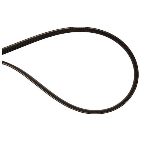 Rippenband OPTIBELT 84818008AB
