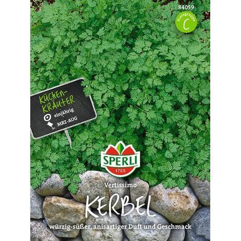 Sperli Kerbel Vertissimo - Kräutersamen (1/4)
