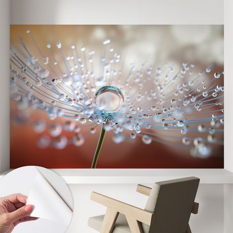 Papier peint adhésif décoratif pour salon chambre et cuisine Facile à poser avec colle Goutte sur une fleur de pissenlit 104x70 cm (1/5)