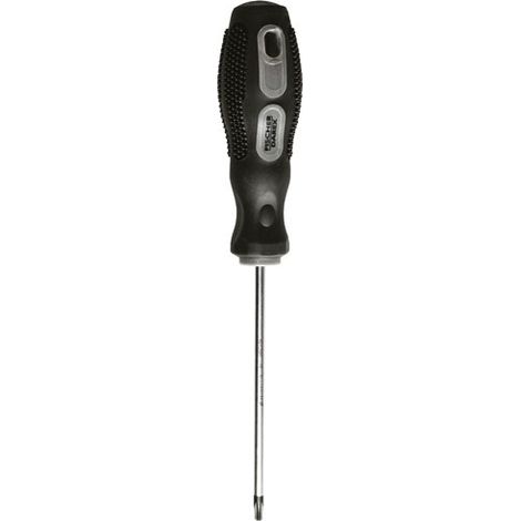 FISCHER DAREX - Tournevis torx tt10 4.0 x 100 mm