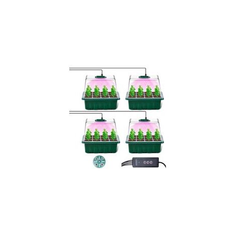 Mini Serre pour Plantes avec Lampe, avec caractéristiques : Lampe, 4PIÈCES, Réglable, Serre