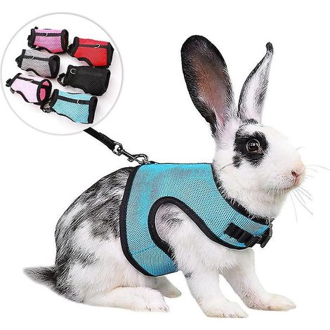 2 Harnais Pour Lapins Cochons D'inde Petits Animaux Avec Laisse Lastique Gilet Souple Pour Promenade