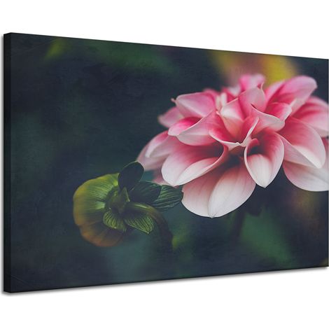 Leinwanddruck Botanik Rosa Dahlie 120x80 cm