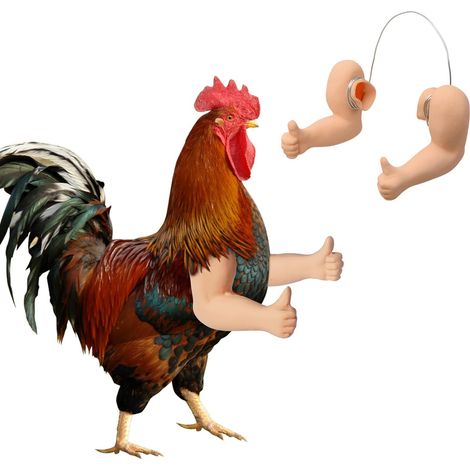 Bras de poulet musclés, jouets pour poulets à porter, déguisement amusant de poings de combat pour animaux de compagnie, fête à thème farce (1/5)