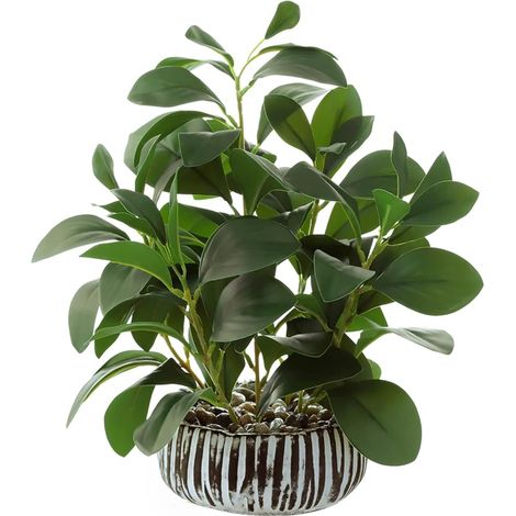 Plantes Artificielles Peperomia Fausses avec Ciment Pot pour Chambre Maison Salle de Bain à Coucher Cuisine Bureau Tableau Intérieur Extérieur Décoration (1/5)
