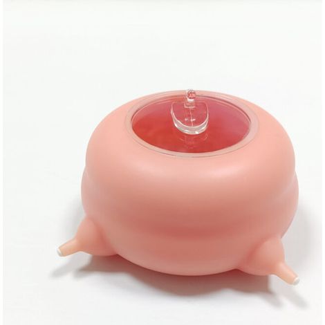 Mangeoire à lait en silicone pour chiot et chaton, 200 ml, lot de 4 tétines – DELKEVIC