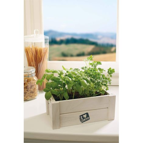 Easyorto Semences Basilic-Persil Graine d'Herbe Aromatique (1/4)
