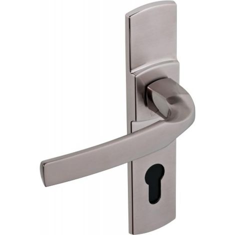 Artis Ea165 Platine Bec De Cane Poignée De Porte élégante Et Robuste - Assa Abloy