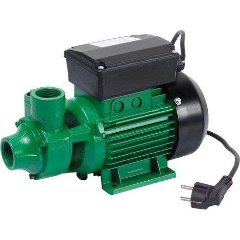 elettropompa periferica TP60 corpo pompa in ghisa attacco 1"x1" hp 0,50 kw 0,37