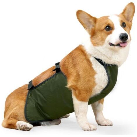 Vêtements imperméables pour Animaux de Compagnie, Veste de Pluie pour Chien, Couverture Ventrale, imperméable Corgi, Bande Ventrale pour Chien,M (1/4)