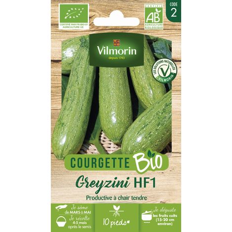 Courgette Greyzini - BIO Vilmorin (1/2)