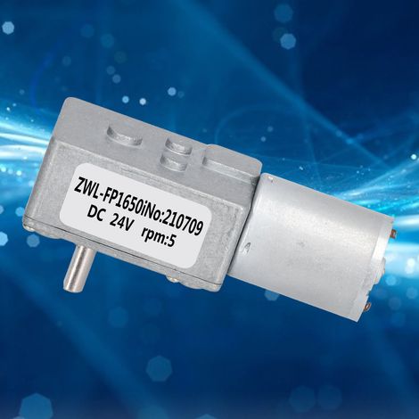 Moteur réducteur à vis sans fin 24 V, moteur réducteur à vis sans fin à couple élevé ZWL-FP-5 tr/min (1/5)