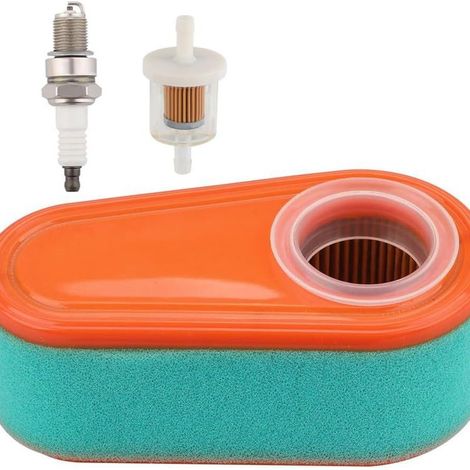 795066 Timemaster 30 Air Filter Repair Kit for BS 775 Spark Plugs (1/4)