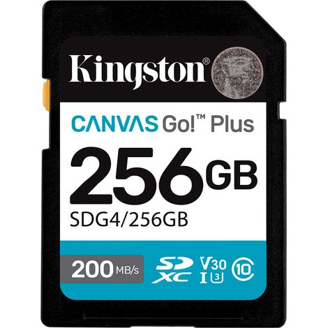 Tarjeta de Memoria Micro SD con Adaptador Kingston SDG4/256GB 256 GB