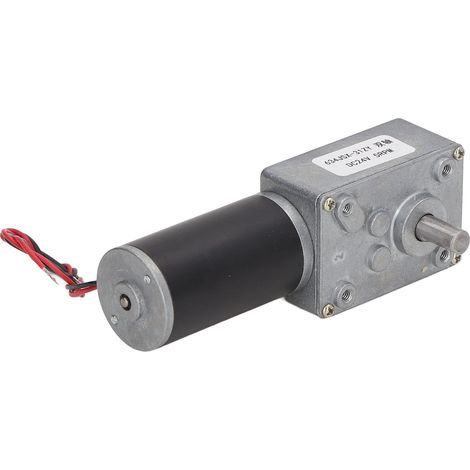 24-V-Gleichstrom-Getriebemotor mit Drehzahlreduzierung, selbsthemmend, zwei Wellen, reversibel, Schneckengetriebemotor, 5 U/min (1/5)