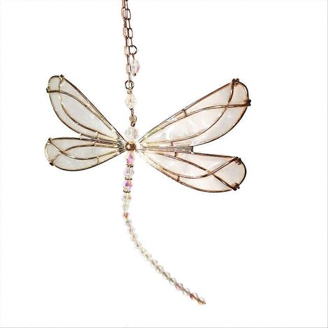 Libellule, Petite mouche éblouissante, Attrape-soleil libellule (1/5)