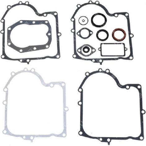 Kit de juntas para motores BRIGGS & STRATTON 494241 (ex 490525) - 051221