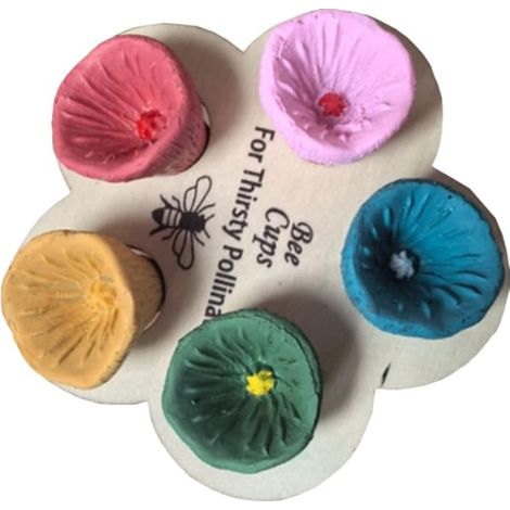 Pots à abeilles, pots à abeilles de jardin, mini pots de jardin. (5 couleurs) - AquaForge (1/5)