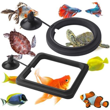 Anneau de Nourriture pour Poissons, 2 pièces Distributeur de Nourriture pour Poissons Aquarium réservoir Accessoires Tortue Distributeur de Nourriture Cercle pour Guppy, bettas (Noir) (1/5)