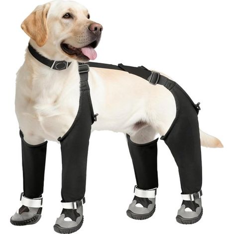 Zapatos universales ajustables para perros，Protectores de patas impermeables y antideslizantes，Aptos para exteriores，Talla 2XL (1/5)