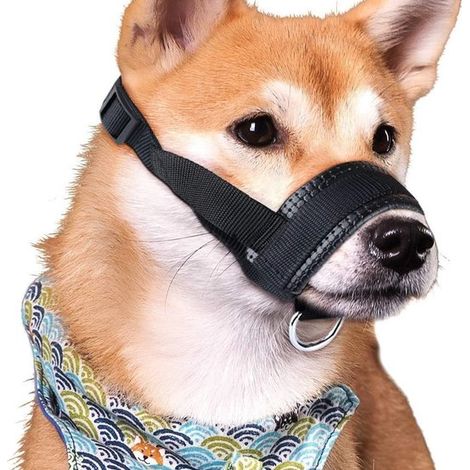 Bozal para perros, Bozal ajustable, Transpirable, Bozal transpirable, Permite una respiración fluida, paseos diarios y transporte público, Negro (1/5)