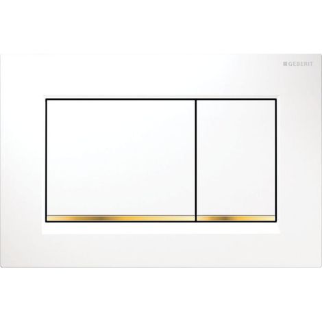Geberit Sigma20 Betätigungsplatte, für 2-Mengen-Spülung,