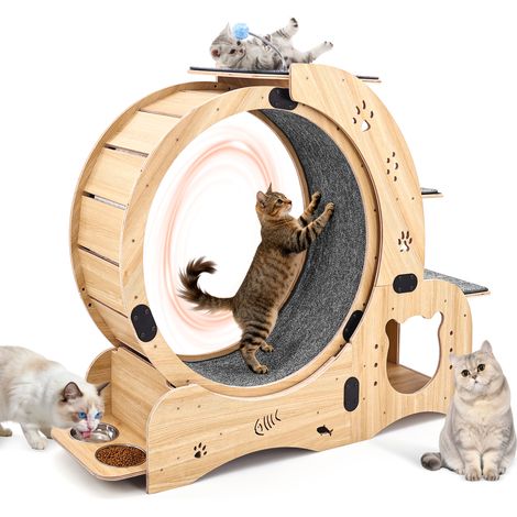 Ruota per gatti in legno naturale con struttura 6 in 1, silenziosa e stabile (1/4)