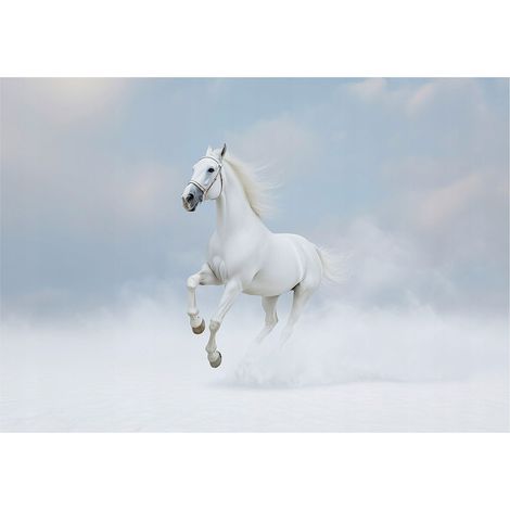Papier peint panoramique cheval blanc nuages animaux 150x105 cm mural salon chambre petit format (1/5)