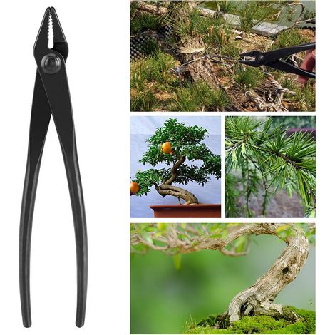 Pince à fil de bonsaï en alliage d'acier au manganèse avec extrémité arrondie pour une utilisation en toute sécurité - Outil de jardinage (1/5)