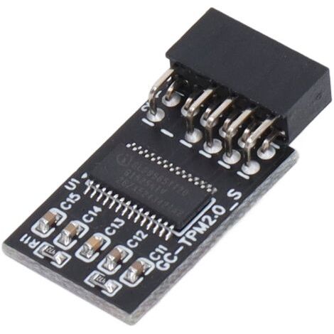 Module TPM 2.0 LPC SPI 12 broches, carte de sécurité de cryptage de carte à distance, accessoire pour GIGABYTE (1/5)