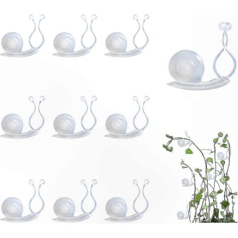 10 Attaches Tuteur Transparentes pour Plantes d'Intérieur, Crochets de Fixation Murale 3,6x3,6x0,6cm, Accessoire Jardinage pour Tige et Branche (1/5)